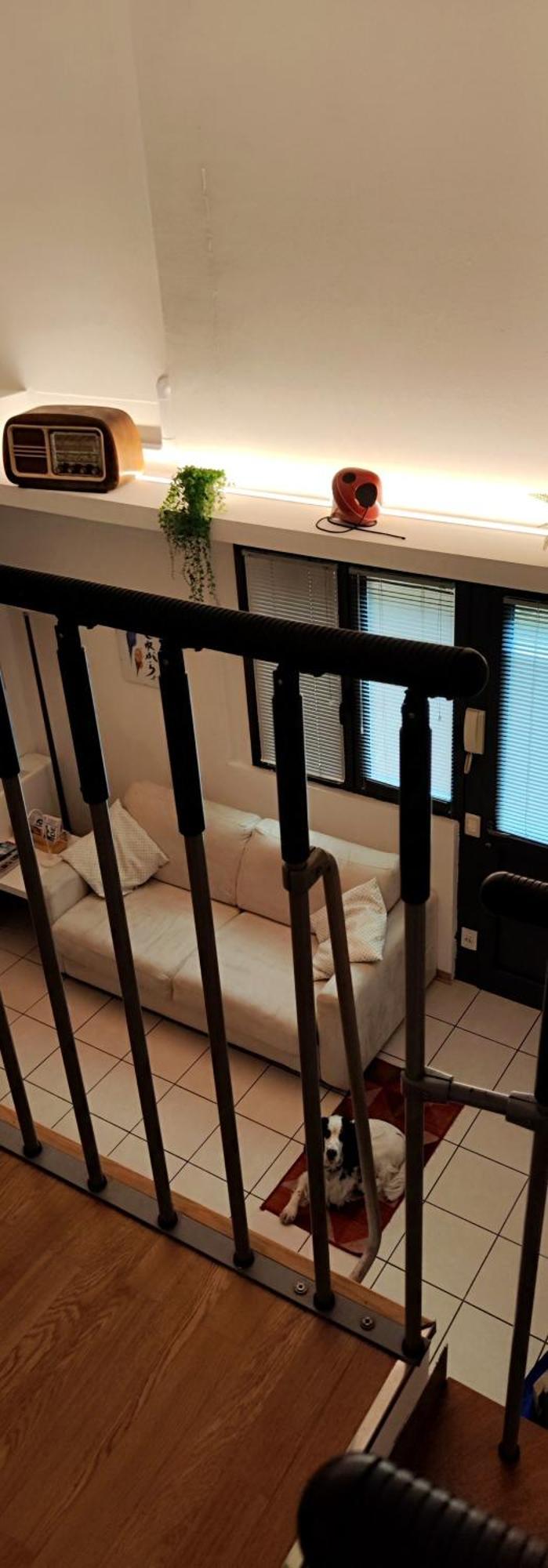 Gemme Fiorentine Apartments In Front Of The Train Station 5 Minutes From The Centre Free Parking Флоренція Екстер'єр фото